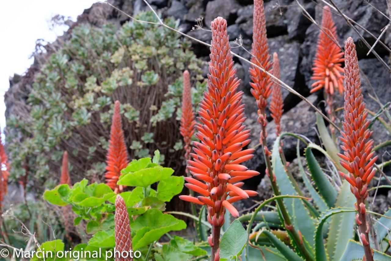 Tenerife Lizards - Duplex In The First Line Кальяо-Сальвахе Экстерьер фото